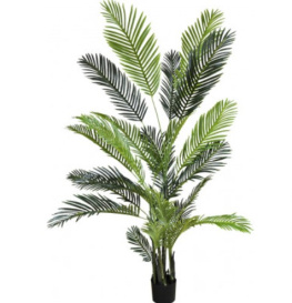    engard palm tree 182 (tw-29)