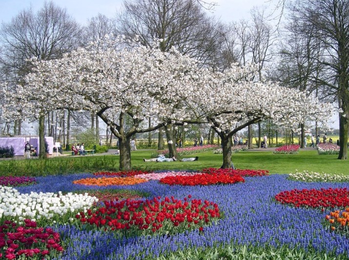Весна в европейском парке
