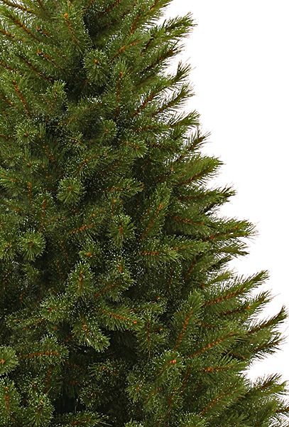    Forest Frosted Pine 155  