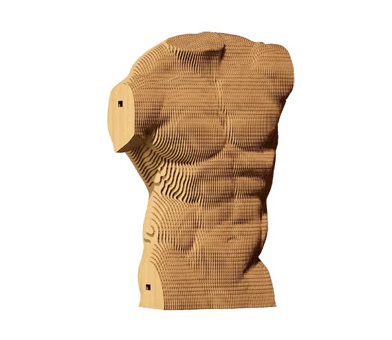    cartonic 3d puzzle torso m