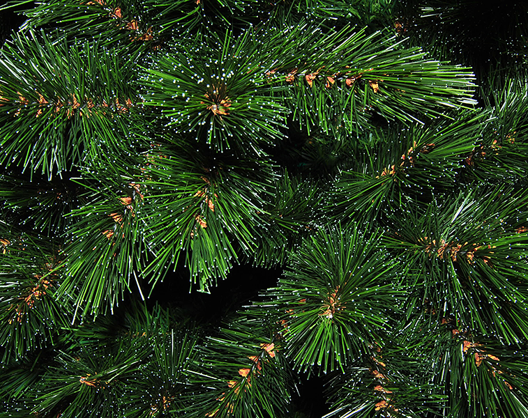    Forest Frosted Pine 215  