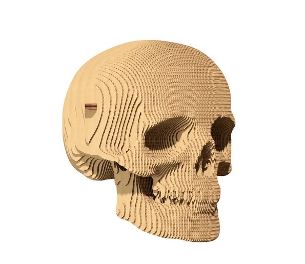    cartonic 3d puzzle skull (cartskul)