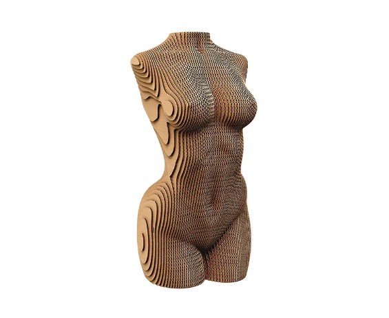    cartonic 3d puzzle female torso