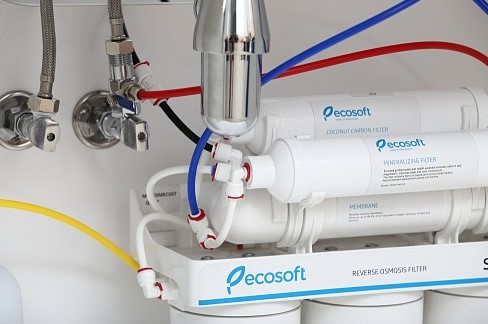    Ecosoft Standard 6-50M   (MO650MECOSTD)