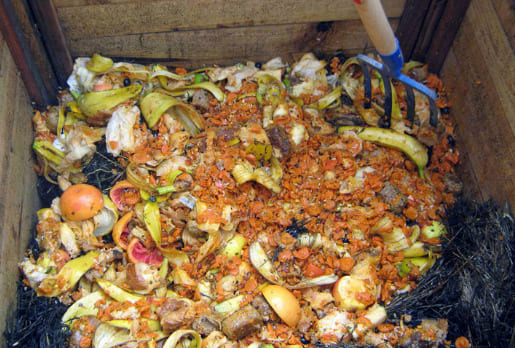 Харчові відходи для приготування компосту.jpg