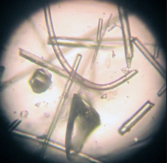 Стекловата под микроскопом фото.png