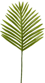    engard hawaii palm  70 (dw-35)