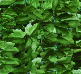 Декоративное зеленое покрытие Engard Темный вьюнок 100x300 см