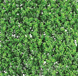 Декоративное зеленое покрытие Engard Самшит 50x50 см
