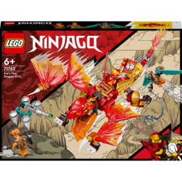 Lego Ninjago     204  (71762)