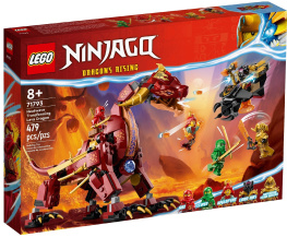  Lego Ninjago  ,   479  (71793)