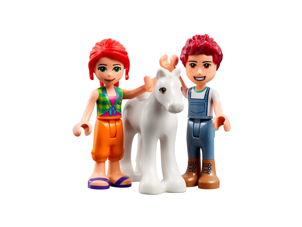  Lego Friends     60  (41696)