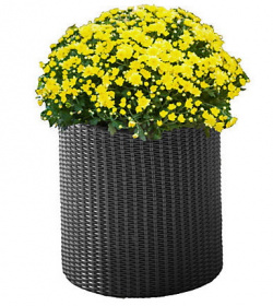    medium cylinder planter 