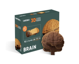    cartonic 3d puzzle brain (cartbrain)