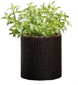    small cylinder planter 