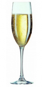     c&s champan fiute 240 