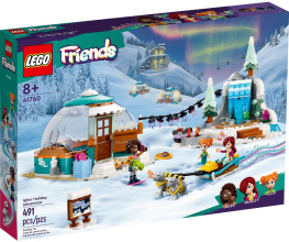 Lego Friends     491  (41760)