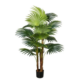    engard cycas palm 150 (dw-23)