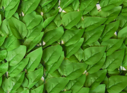 Декоративное зеленое покрытие Engard Листья 100x200 см