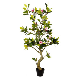    engard magnolia tree 150 (dw-19)
